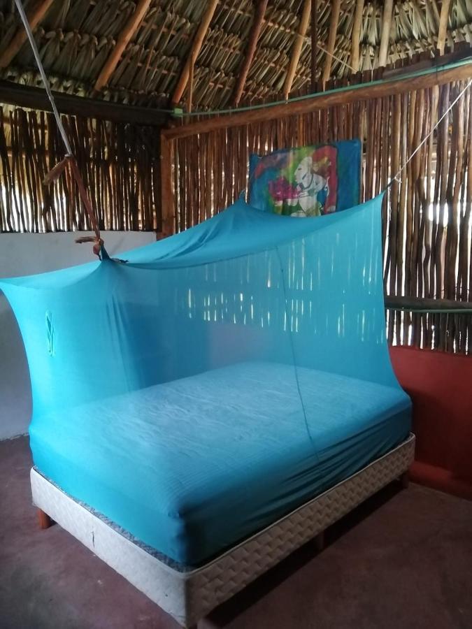 Malinche Cafe In Coba Tulum Lejlighed Eksteriør billede