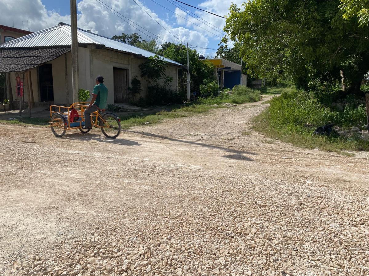 Malinche Cafe In Coba Tulum Lejlighed Eksteriør billede
