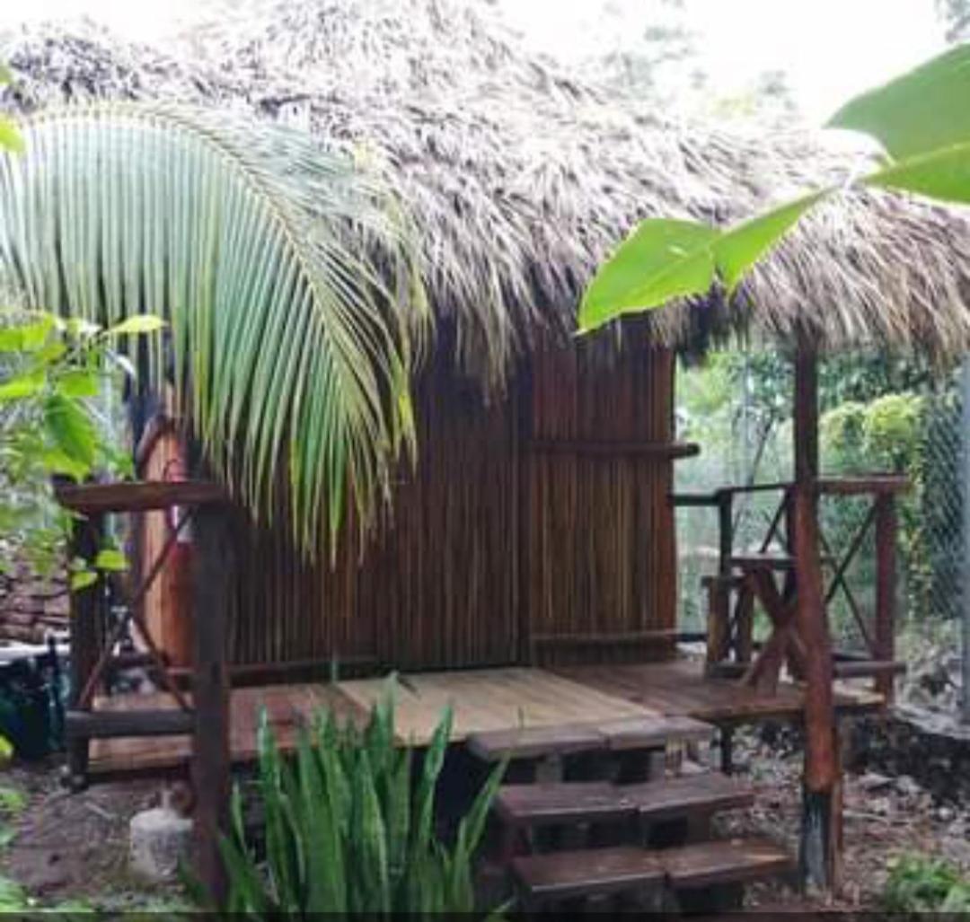 Malinche Cafe In Coba Tulum Lejlighed Værelse billede